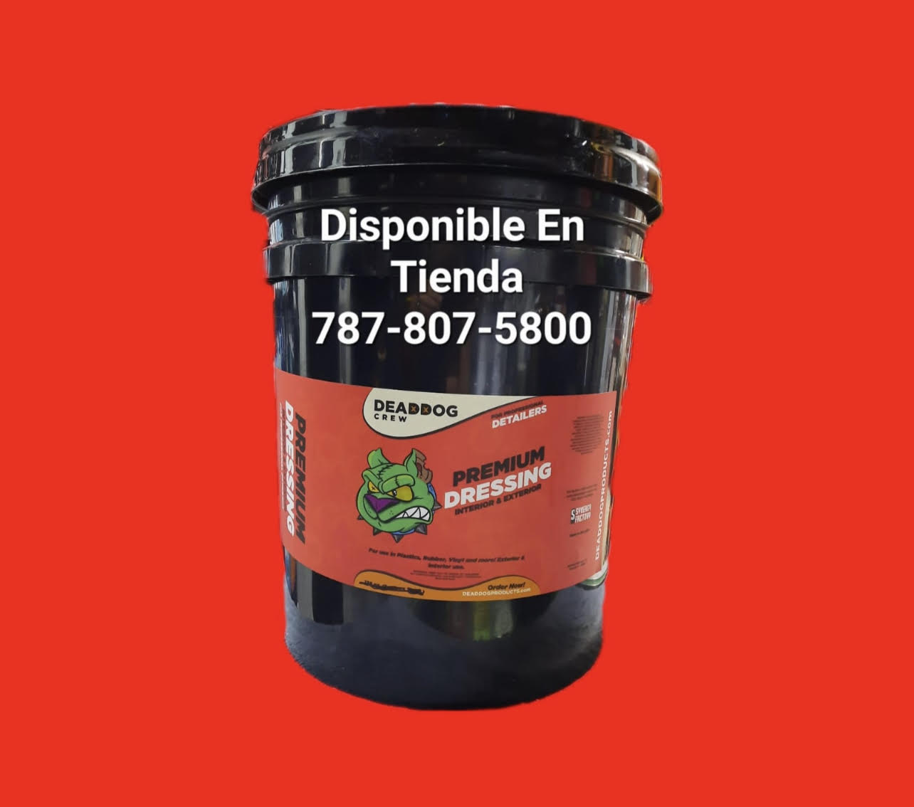 Premium Dressing Interior & Exterior Paila